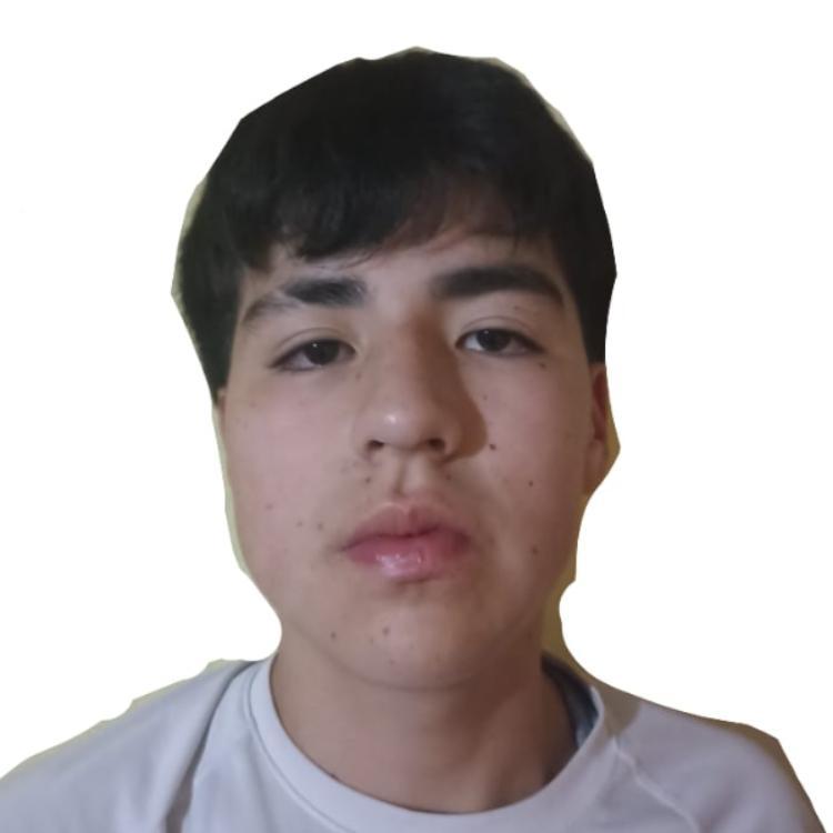 User Image